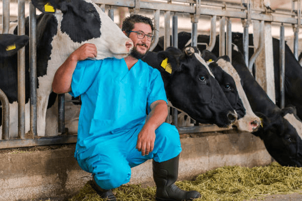 Maximizing Dairy Herd Health with Digital Management Tools