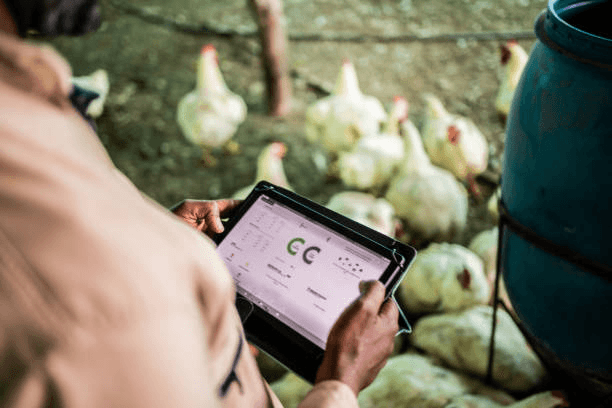 Transitioning to Digital Animal Health Management on the Farm