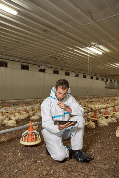 The Strategic Advantage of Digital Animal Health Records